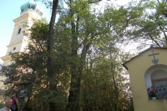 DSCN9587