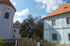 DSCN9640